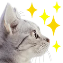 Emoji chatwoah