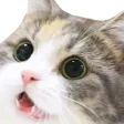Emoji chatwow