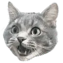 Emoji chatwoww