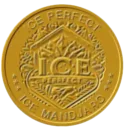Emoji IceCoins
