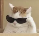 Emoji catcool