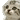 Emoji 9894pixelcatwaiting