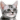 Emoji 2486pixelcatbruh