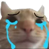 Emoji catCrying
