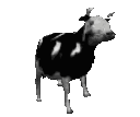 Emoji Dancing_cow_animated