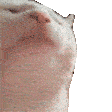 Emoji catjamhaha