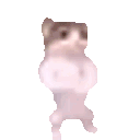 Emoji Cat