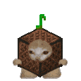Emoji cat_musicbox