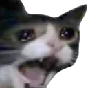 Emoji 137_CatScream