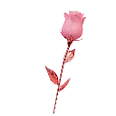 Emoji rose