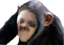 Emoji irisitible