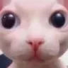 Emoji bingous