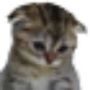 Emoji emoji_64