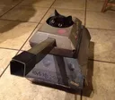 Emoji catplayhousescratchingtoyboxsuck