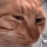 Emoji z_Catsideeye