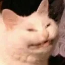 Emoji emoji_2