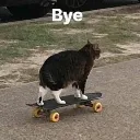 Emoji emoji_13