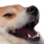 Emoji FunnyHaha