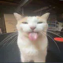 Emoji silly_one