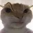 Emoji suscat