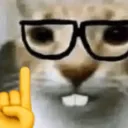 Emoji NerdCat