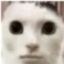 Emoji huh
