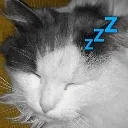 Emoji sleep_cat