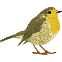 Emoji wazo