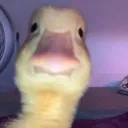 Emoji emoji_6