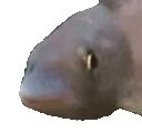 Emoji LS_BopFish