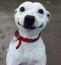 Emoji 3_