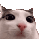 Emoji z_CatEyc