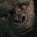 Emoji KongSad