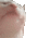 Emoji z_CatDancing