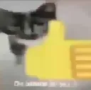 Emoji 1_thumpup