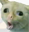 Emoji 2757strangecat