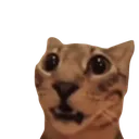 Emoji 5110catsurprised