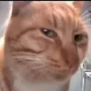 Emoji 5891catsus1