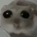 Emoji hampster
