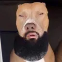 Emoji sf_drakedog
