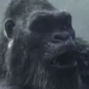 Emoji KongShocked