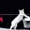 Emoji catclean