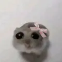 Emoji hamptercoquette