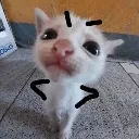 Emoji emoji_81