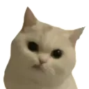 Emoji emoji_43
