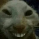 Emoji emoji_45