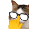 Emoji kiisu_trumpf