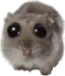 Emoji Hamster