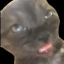 Emoji emoji_185