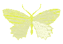 Emoji 4_butterflyyellow
